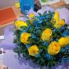 IMG_20160910_082857