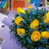 IMG_20160910_082913