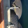 IMG_20160915_142810