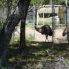 Picture 011