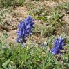 Picture 014