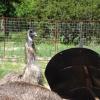 Picture 021