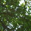Picture 022