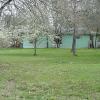 backyard 1