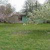 backyard 2