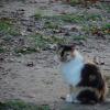 DSC00020