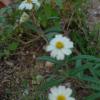 DSC00023