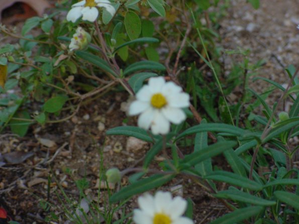 DSC00023