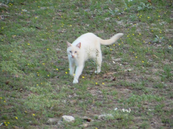 DSC00025