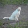 DSC00028