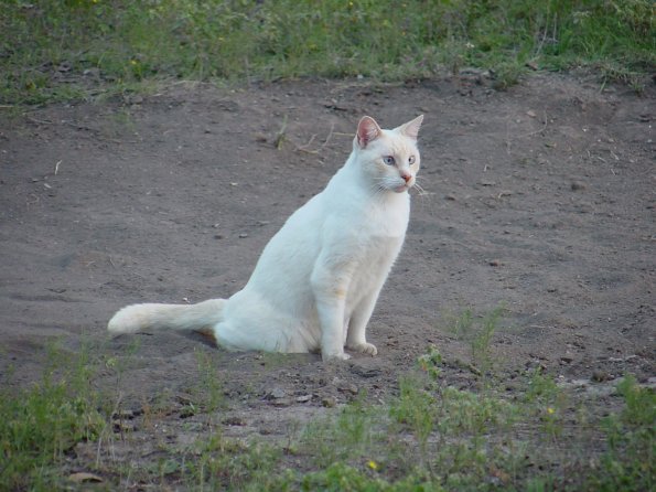 DSC00028