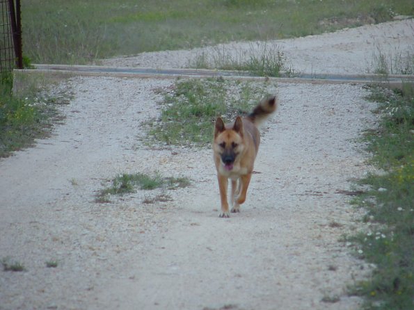 DSC00030