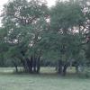 DSC00036