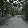 DSC00039