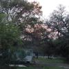 DSC00043