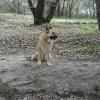 wilma 2