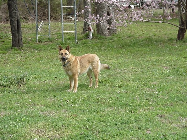 wilma 3