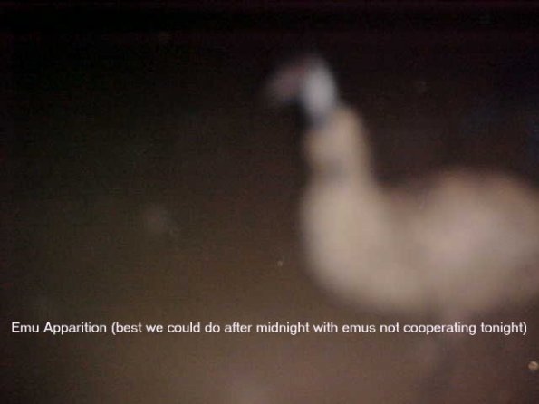 emu