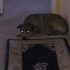 IMG_20140103_170838
