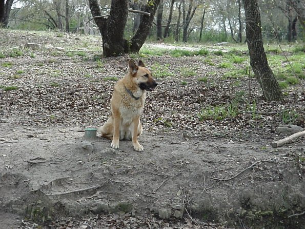 wilma 2
