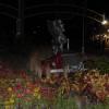 fair pics 2