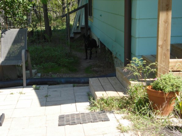 DSC01430