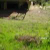 DSC01482