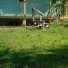 DSC01486
