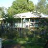 DSC01511