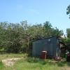 DSC00981