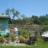 DSC00988