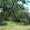 DSC00999