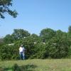 DSC01002