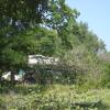 DSC01006
