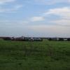 DSC00240