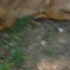 DSC01441