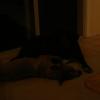 DSC01513