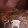 DSC00705