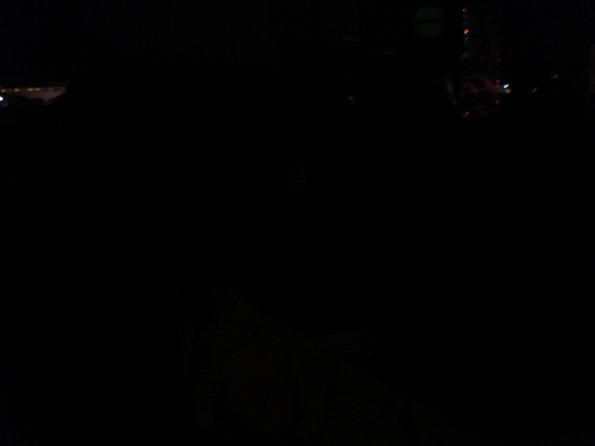 DSC00941