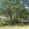 DSC00971