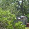 DSC00979