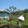 DSC00987