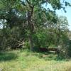 DSC00999