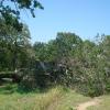 DSC01000