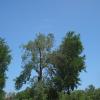 DSC01016