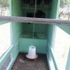 IMG_20140529_125951
