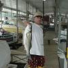 corysfish