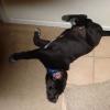 missy- 3-11