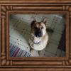 wilma