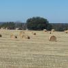 IMG_20140228_113719